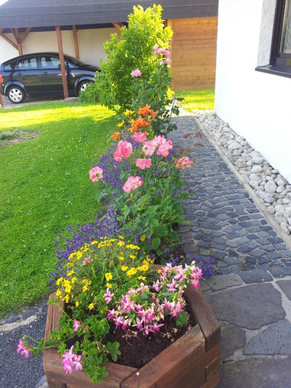 Evangeline Borsch Zell an der Mosel