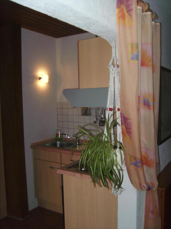 Evangeline Borsch Apartment Zell an der Mosel